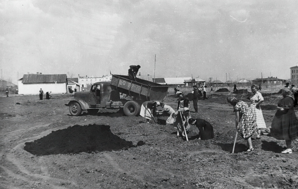 1950-е посадка деревьев на аллее за Домом Советов