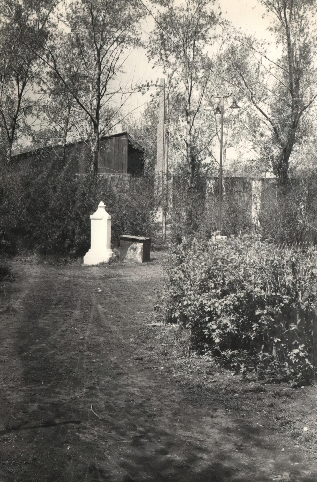 1970-е Летний кинотеатр в городском саду